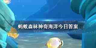 糖果蟹名字由来解析 猜一猜糖果蟹得名的原因