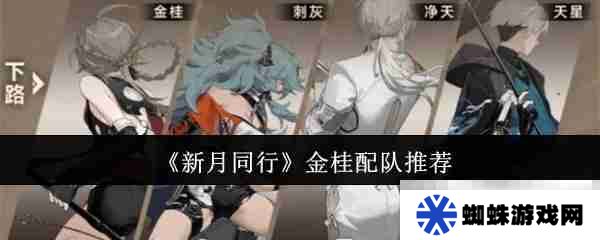 《新月同行》金桂配队推荐