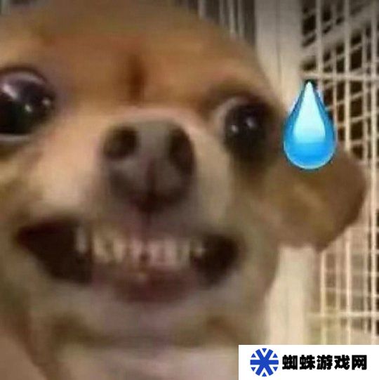 喜欢养电子仓鼠 Steam上线新功能 让用户直面吃灰游戏