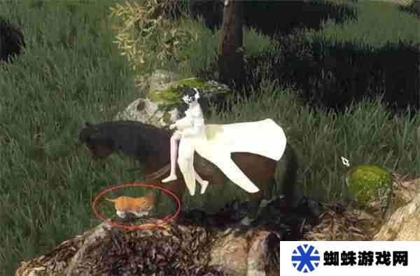 逆水寒捉猫记奇遇怎么做 逆水寒捉猫记奇遇完整流程一览