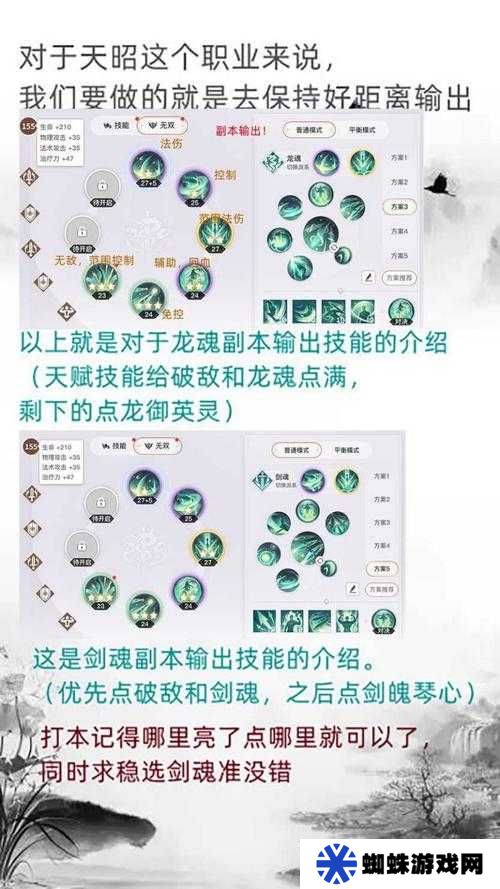 天谕手游天昭PVP如何巧妙应对圣堂，制胜攻略大揭秘？