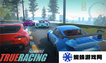 OWRC开放世界